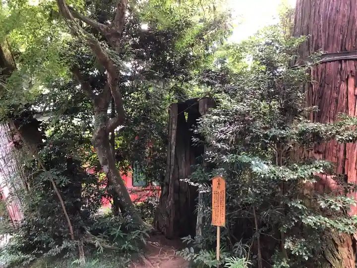 香取神宮(千葉県)