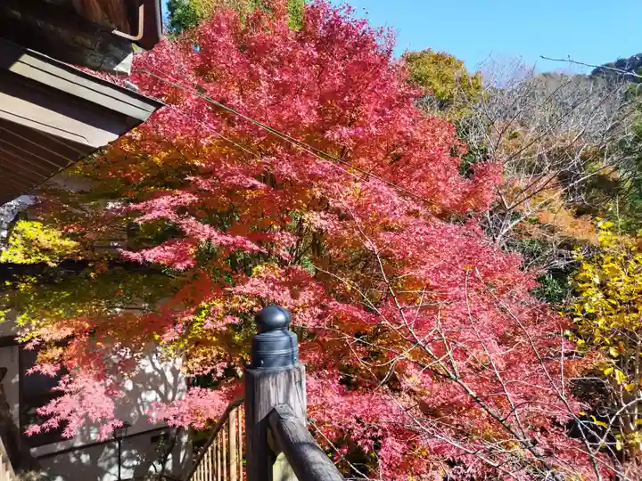 能満院(奈良県)