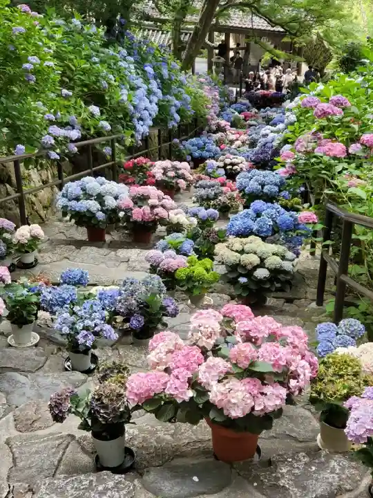 長谷寺(奈良県)