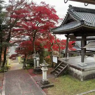 観音寺(滋賀県)