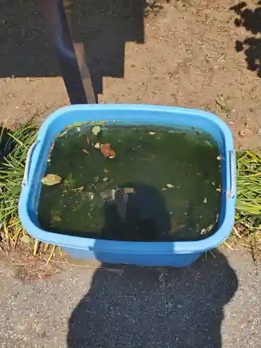 明王院(群馬県)