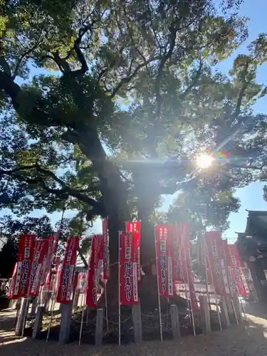 住吉大社の自然