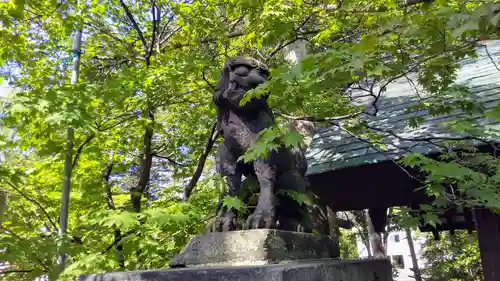 岩見澤神社の狛犬