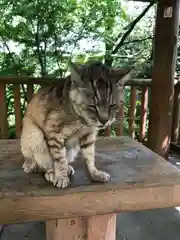 玉野御嶽神社の動物