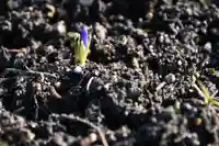 宝光寺(北海道)