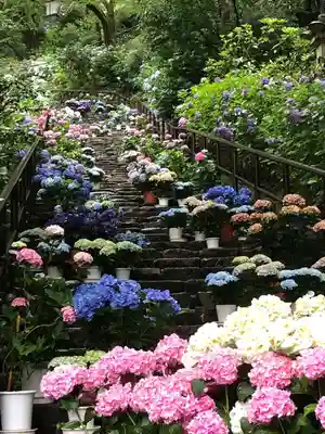 長谷寺のその他建物