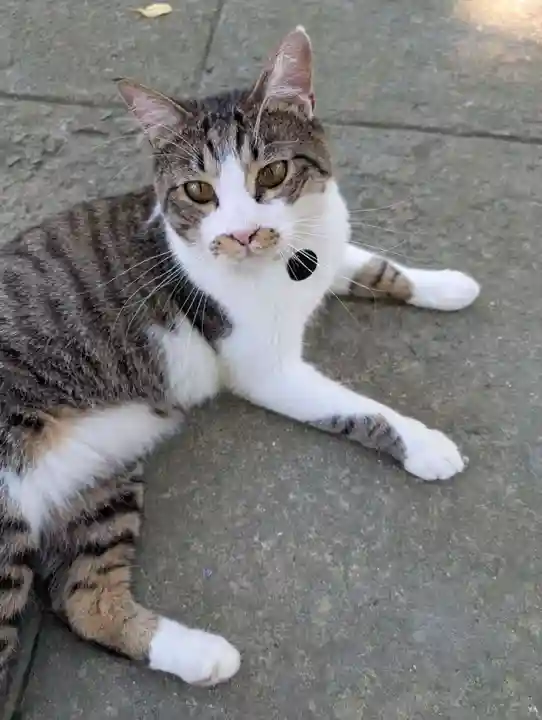 正一位 若草稲荷神社(宮城県)