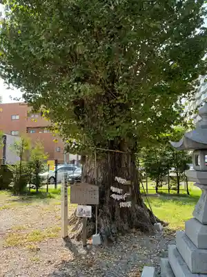 金山神社(愛知県)