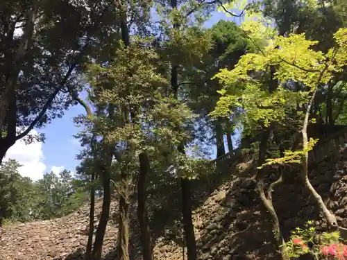 唐澤山神社の自然