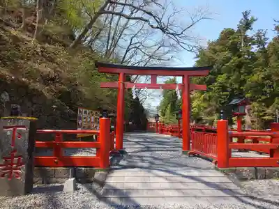 神橋(二荒山神社)の鳥居