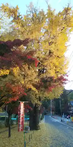 桃太郎神社（栗栖）の景色