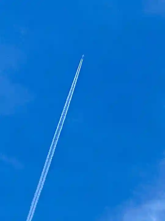 宝鏡寺(京都府)