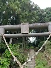 箒根神社の鳥居