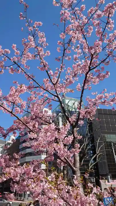 渋谷氷川神社の自然