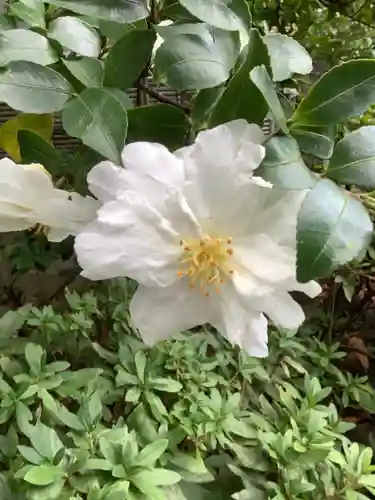 清浄寺(矢場地蔵)(愛知県)