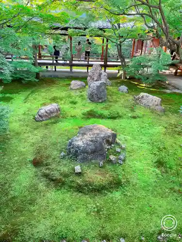 建仁寺（建仁禅寺）(京都府)