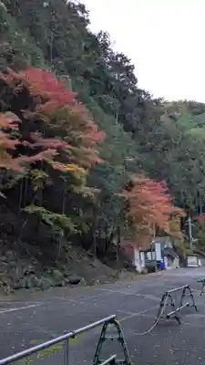 善峯寺(京都府)