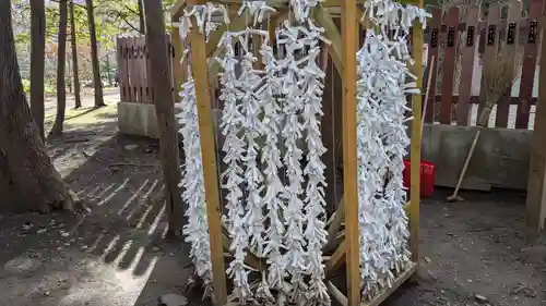 開拓神社のおみくじ