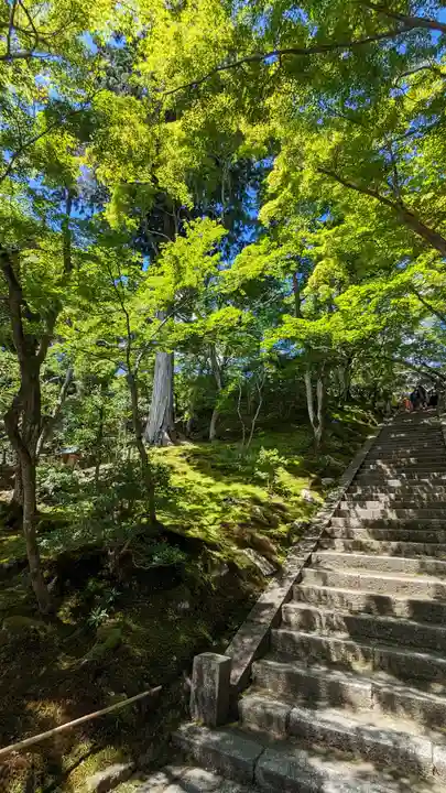 常寂光寺(京都府)
