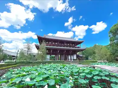 東福禅寺(東福寺)の山門・神門