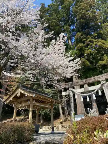 高賀神社の鳥居