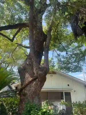諏訪神社(大阪府)