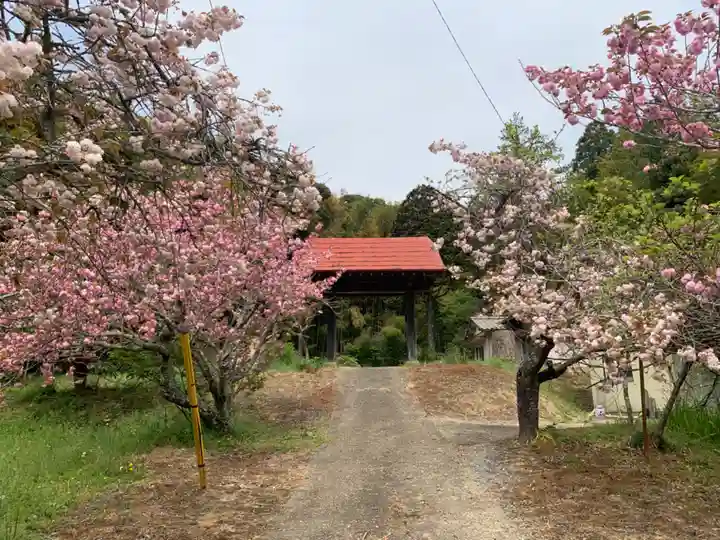 養泉寺(千葉県)