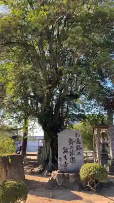 金倉寺(香川県)