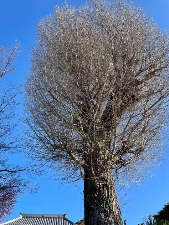 西勝寺の{uncategorized: "未分類", other: "その他", undefined: "問題あり", building: "その他建物", grave: "お墓", sacred_gate: "鳥居", guardian: "狛犬", statue: "像", buddha: "仏像", history: "歴史", nature: "自然", garden: "庭園", animal: "動物", pagoda: "塔", temizu: "手水舎", mountain_gate: "山門・神門", sanctuary: "本殿・本堂", subordinate: "末社・摂社", art: "芸術", scenery: "景色", jizo: "地蔵", ema: "絵馬", goshuin: "御朱印", omikuji: "おみくじ", items: "授与品その他", amulet: "お守り", goshuincho: "御朱印帳", eats: "食事", festival: "お祭り", votive_dance: "神楽", shichigosan: "七五三参", wedding: "結婚式", experience: "体験その他", initially: "初詣", around: "周辺", anti_infection: "感染症対策"}