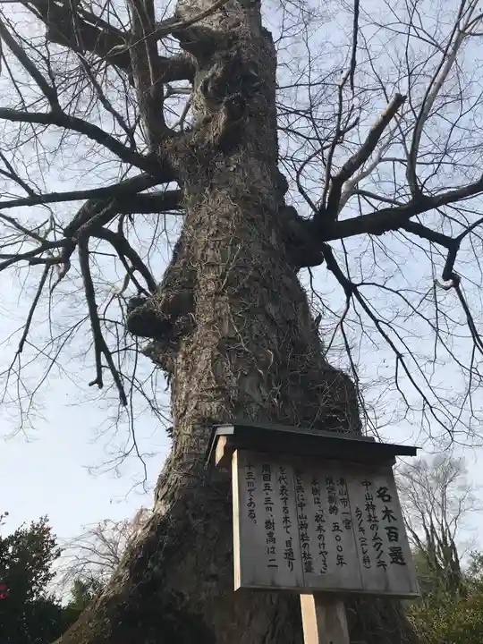 中山神社の自然