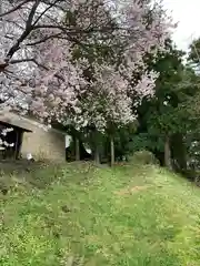 豊景神社の自然