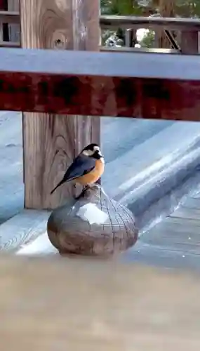 蚊里田八幡宮の{uncategorized: "未分類", other: "その他", undefined: "問題あり", building: "その他建物", grave: "お墓", sacred_gate: "鳥居", guardian: "狛犬", statue: "像", buddha: "仏像", history: "歴史", nature: "自然", garden: "庭園", animal: "動物", pagoda: "塔", temizu: "手水舎", mountain_gate: "山門・神門", sanctuary: "本殿・本堂", subordinate: "末社・摂社", art: "芸術", scenery: "景色", jizo: "地蔵", ema: "絵馬", goshuin: "御朱印", omikuji: "おみくじ", items: "授与品その他", amulet: "お守り", goshuincho: "御朱印帳", eats: "食事", festival: "お祭り", votive_dance: "神楽", shichigosan: "七五三参", wedding: "結婚式", experience: "体験その他", initially: "初詣", around: "周辺", anti_infection: "感染症対策"}