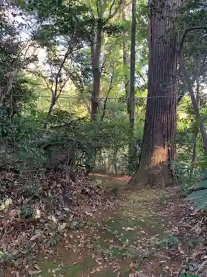 熊野神社(千葉県)