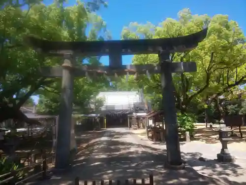 諫早神社（九州総守護  四面宮）(長崎県)
