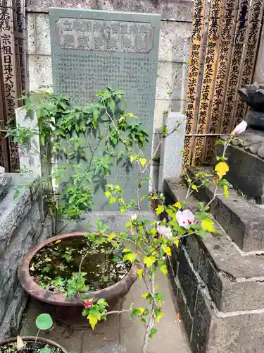 佛心寺(東京都)