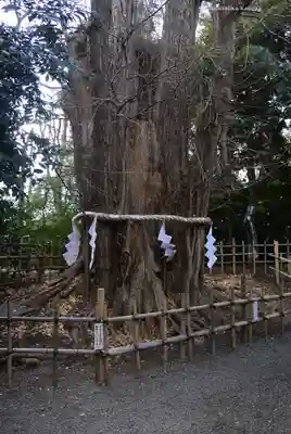 大國魂神社(東京都)