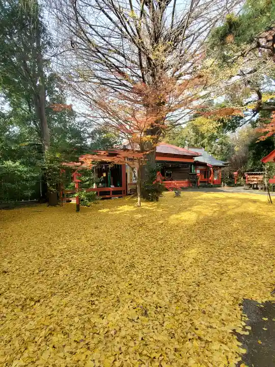冠稲荷神社の自然