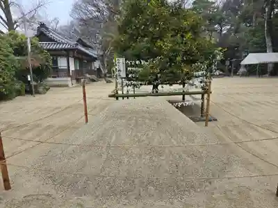 廣瀬大社(奈良県)