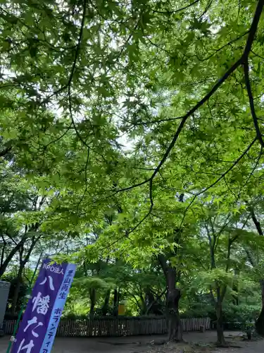 石清水八幡宮(京都府)