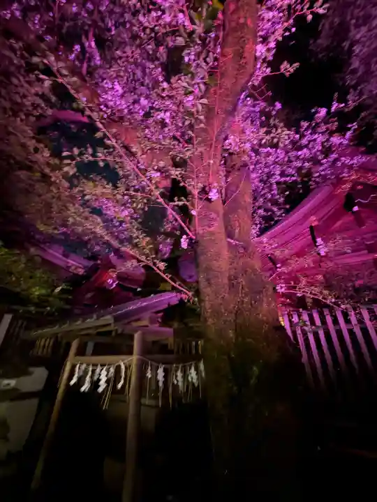 金刀比羅神社の{uncategorized: "未分類", other: "その他", undefined: "問題あり", building: "その他建物", grave: "お墓", sacred_gate: "鳥居", guardian: "狛犬", statue: "像", buddha: "仏像", history: "歴史", nature: "自然", garden: "庭園", animal: "動物", pagoda: "塔", temizu: "手水舎", mountain_gate: "山門・神門", sanctuary: "本殿・本堂", subordinate: "末社・摂社", art: "芸術", scenery: "景色", jizo: "地蔵", ema: "絵馬", goshuin: "御朱印", omikuji: "おみくじ", items: "授与品その他", amulet: "お守り", goshuincho: "御朱印帳", eats: "食事", festival: "お祭り", votive_dance: "神楽", shichigosan: "七五三参", wedding: "結婚式", experience: "体験その他", initially: "初詣", around: "周辺", anti_infection: "感染症対策"}