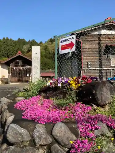 八阪神社の自然