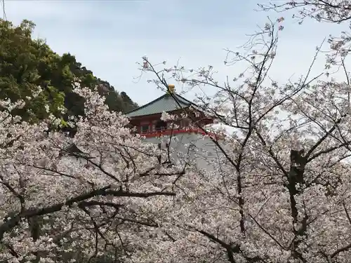 金剛宝寺（紀三井寺）の建物その他