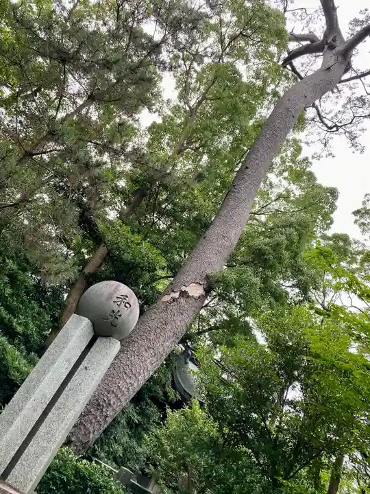 宮山神社(神奈川県)