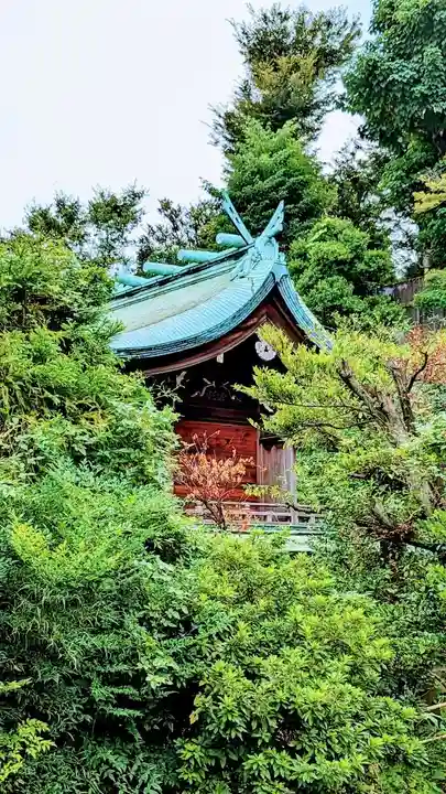 白金氷川神社の本殿・本堂