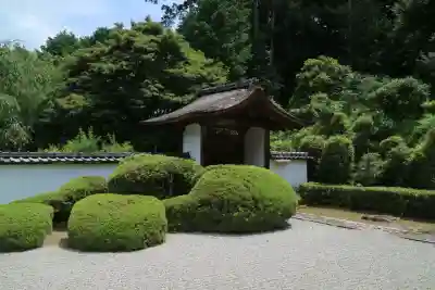 正伝護国禅寺(正伝寺･正傳寺)(京都府)