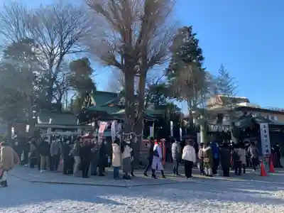 川越八幡宮の初詣