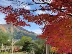 味真野神社の自然