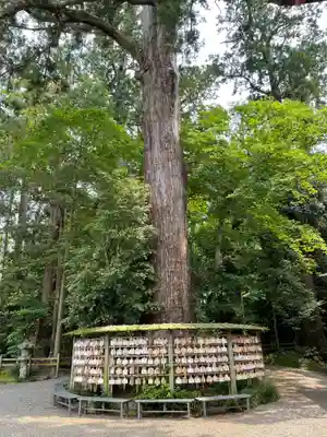 鹿島神宮(茨城県)
