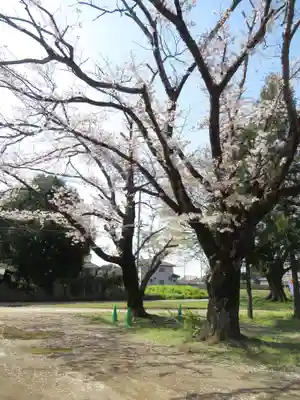 伏木香取神社(茨城県)