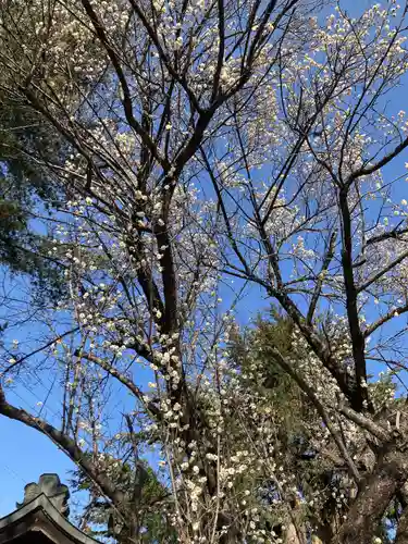 穂高神社本宮(長野県)